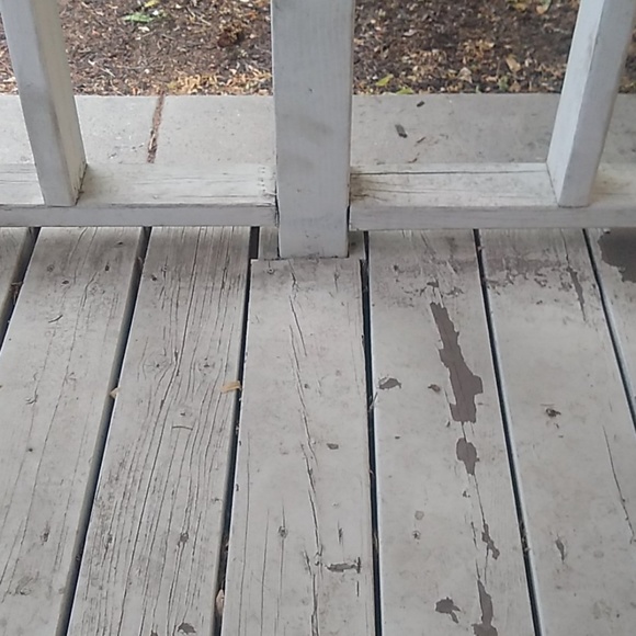 Meet your Posher, Nora - Picture 1 of 1